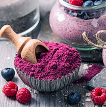 POUDRES DE FRUITS