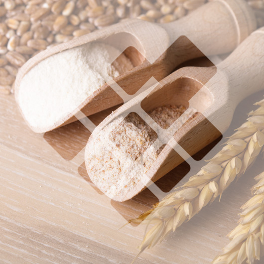 WHEAT GERM