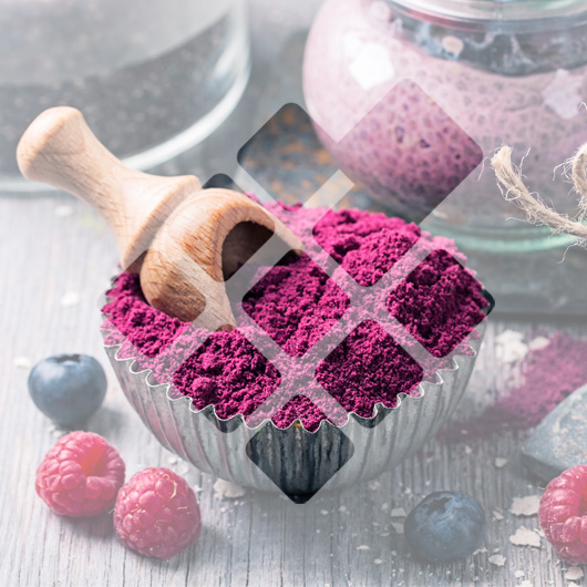 POUDRES DE FRUITS